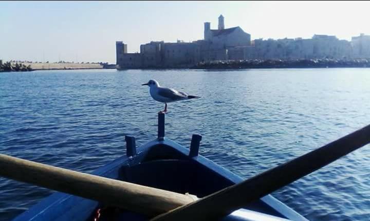 Il Da Vinci Casa Vacanze Giovinazzo Kültér fotó
